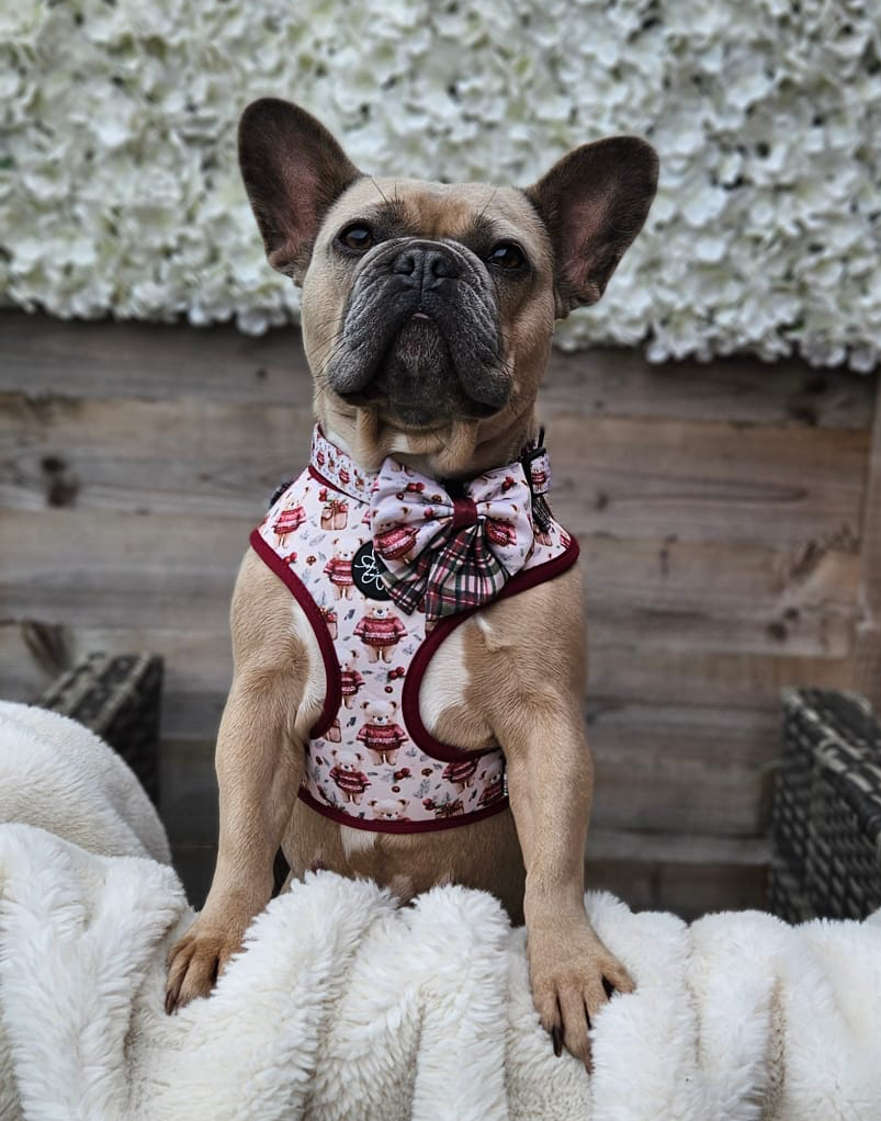 Jingle Bears Christmas Sailor Bow