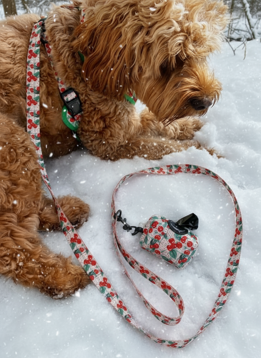 Cherry Christmas Lead