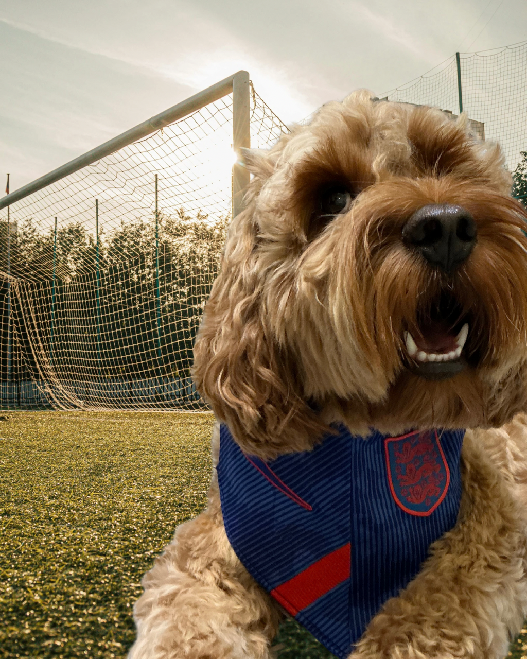 England SUPAW Fan Bandana