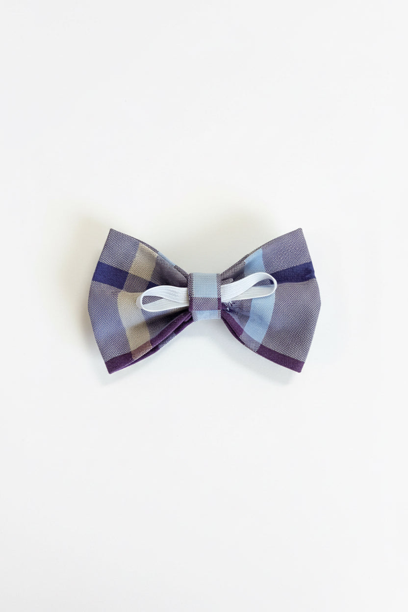 Berry Patch Bow Tie