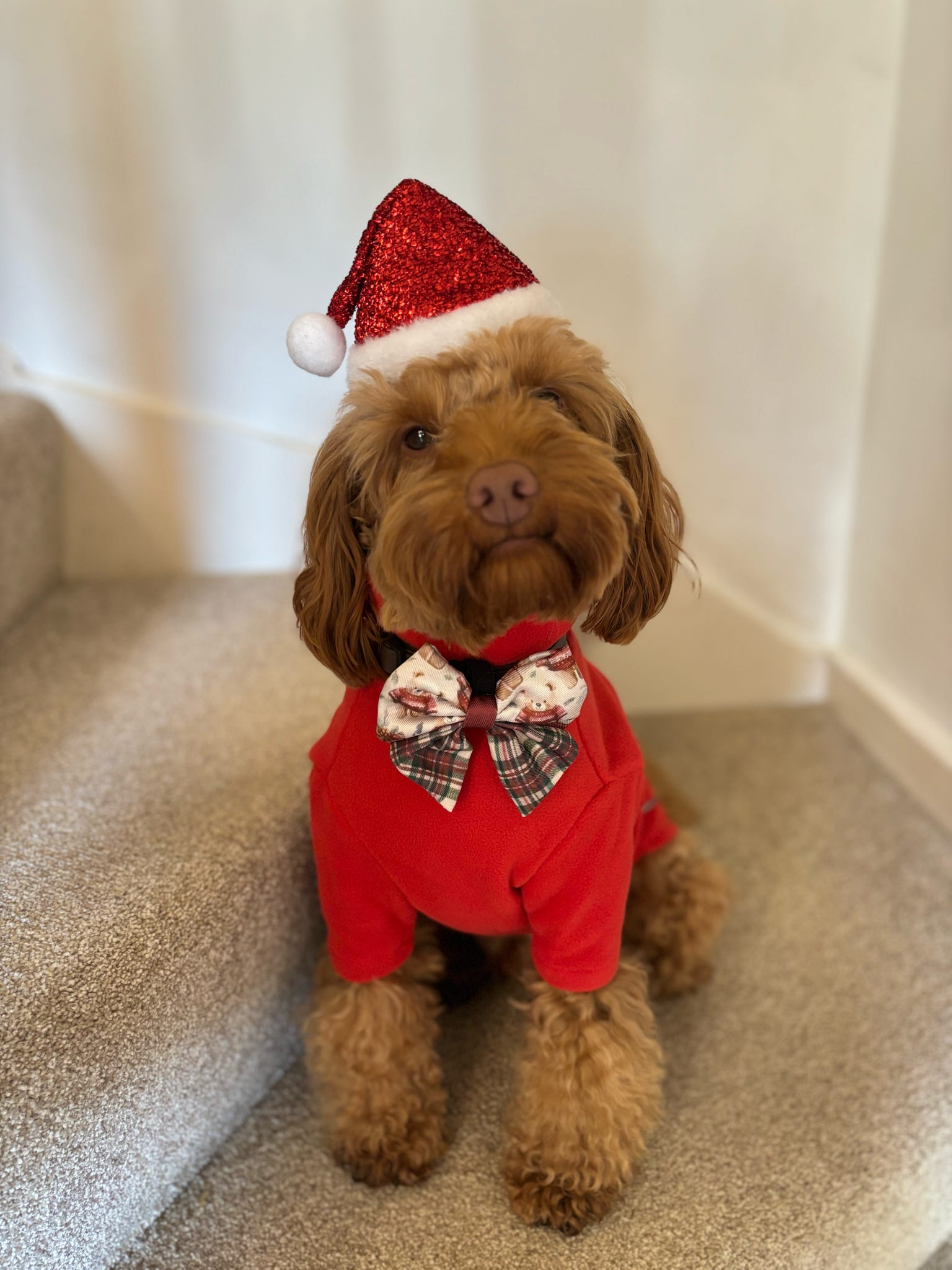 Jingle Bears Christmas Sailor Bow