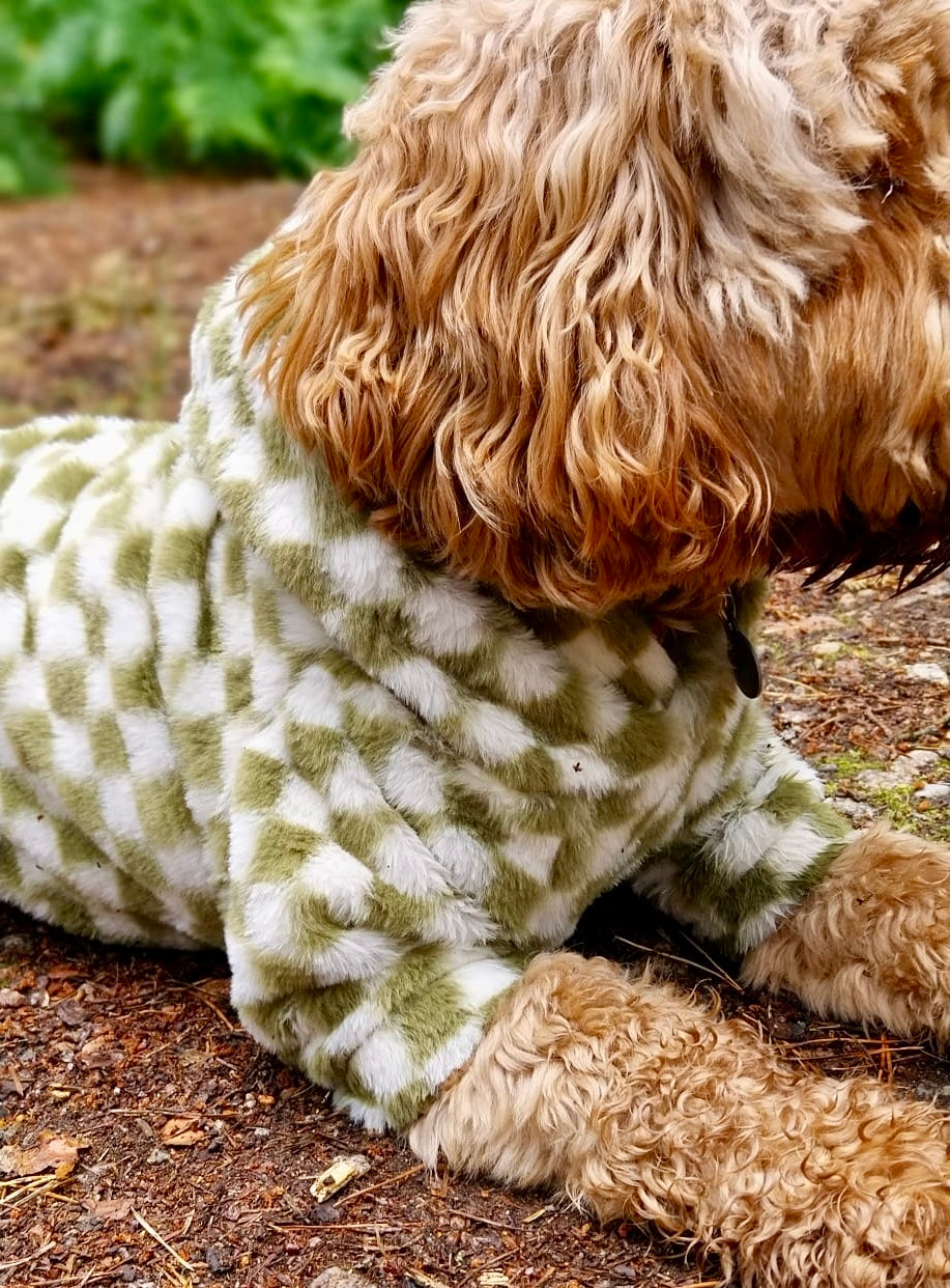 Cosy, Cute & Checkered Hoodie