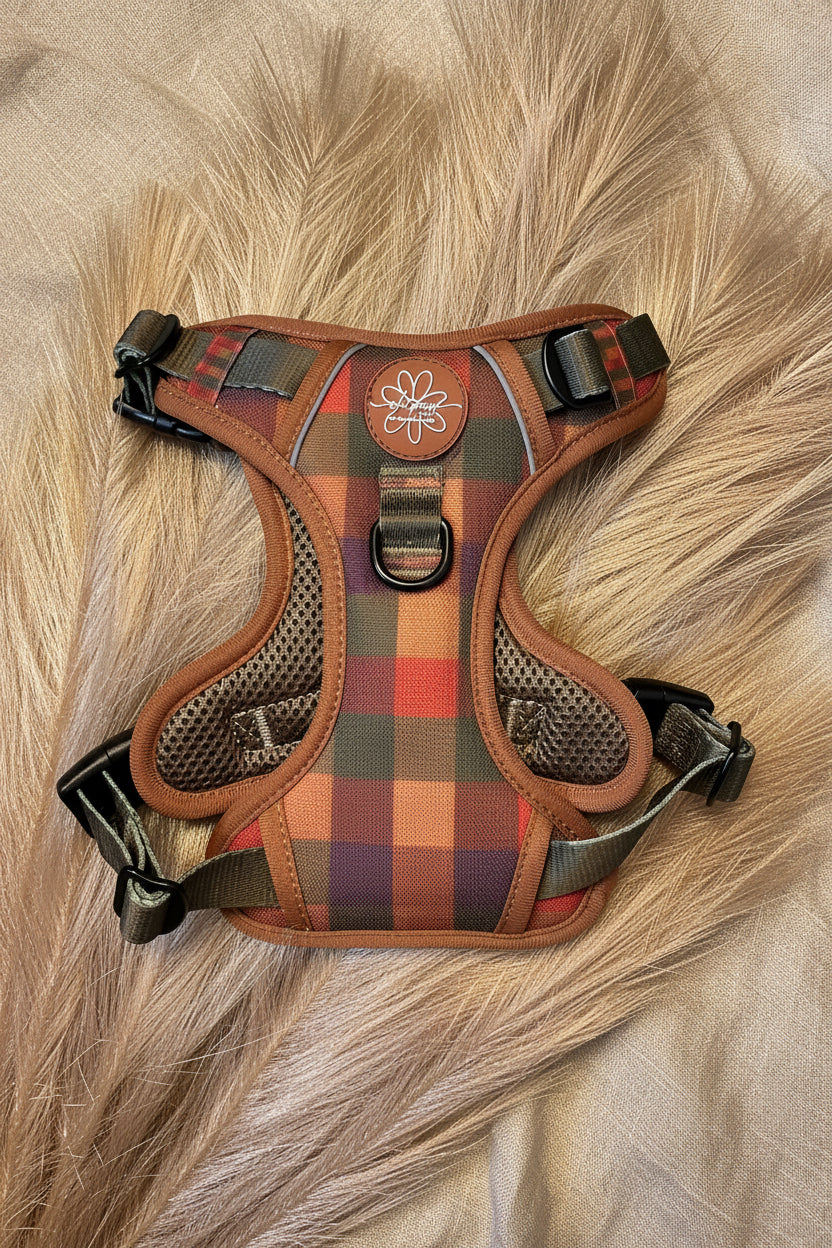 Core Memory 3 Click Harness - Burnham Weave