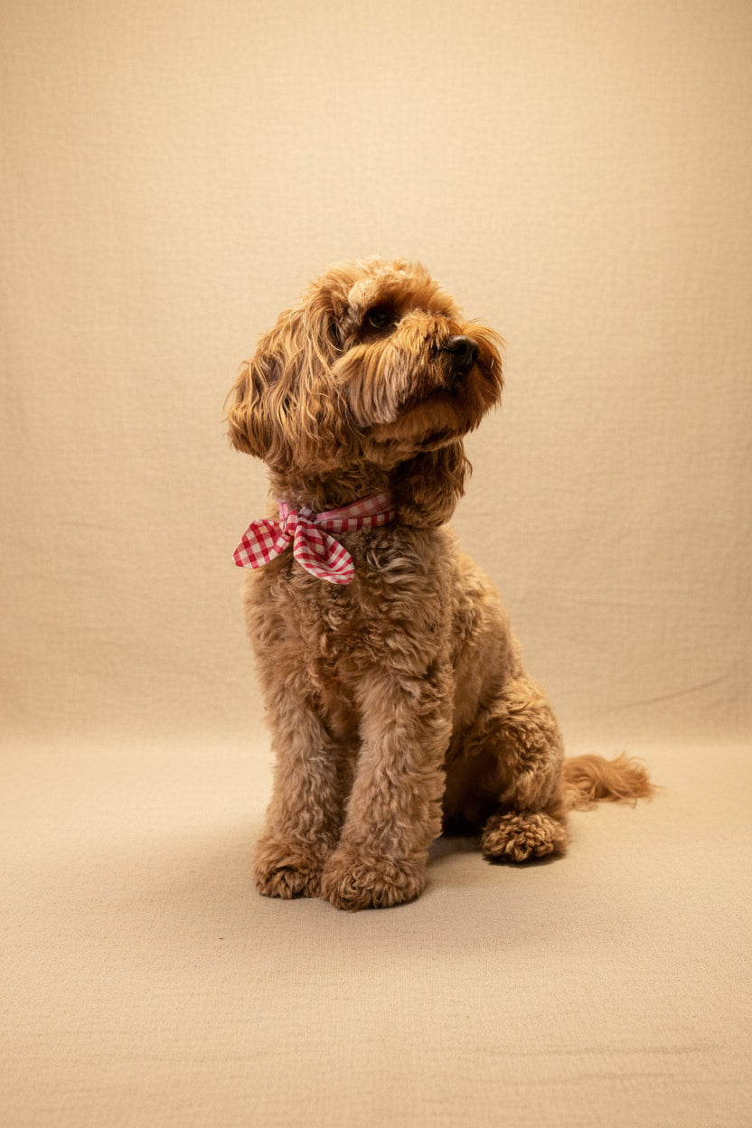 Picnic Pals - Reversible Gingham Dog Neckerchief - Pink & Red