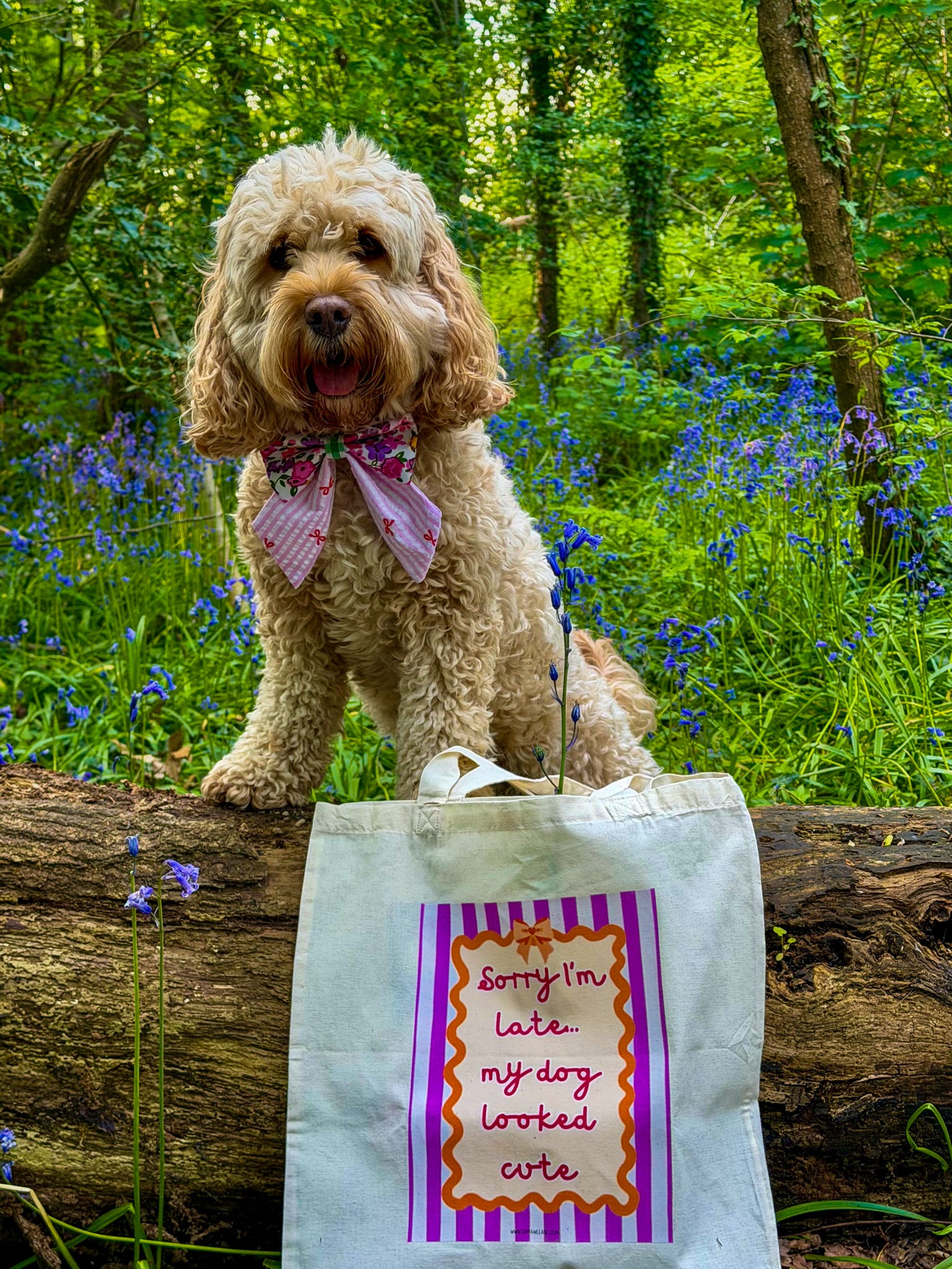“Sorry I’m Late… My Dog Looked Cute” Tote Bag