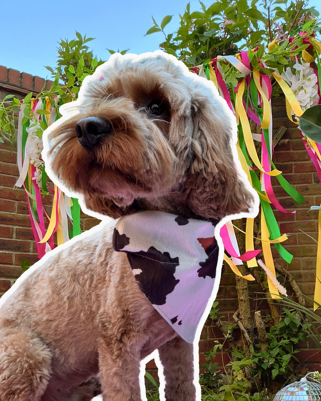 Cow Print Bandana