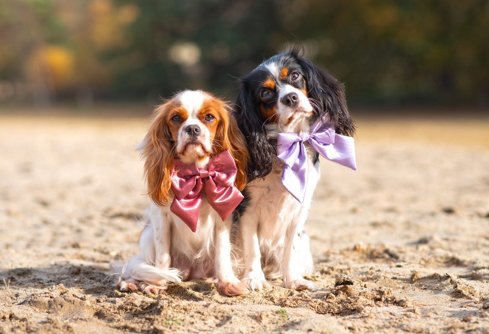 Satin Luxe Sailor Bow - Lilac