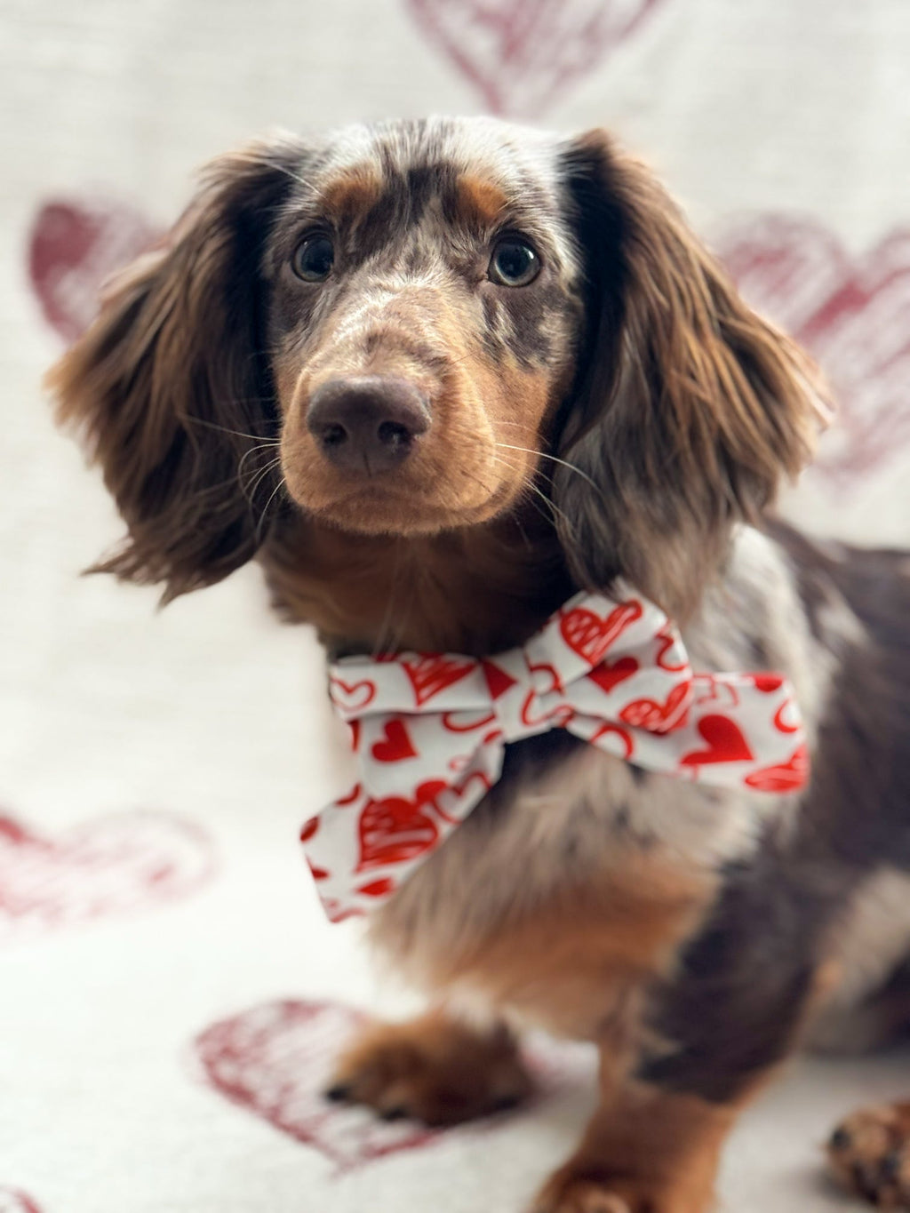 Scribble Heart Sailor Bow