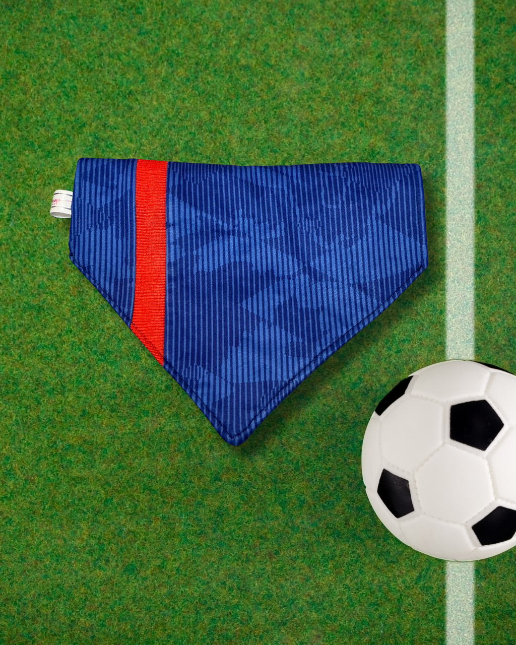 England SUPAW Fan Bandana