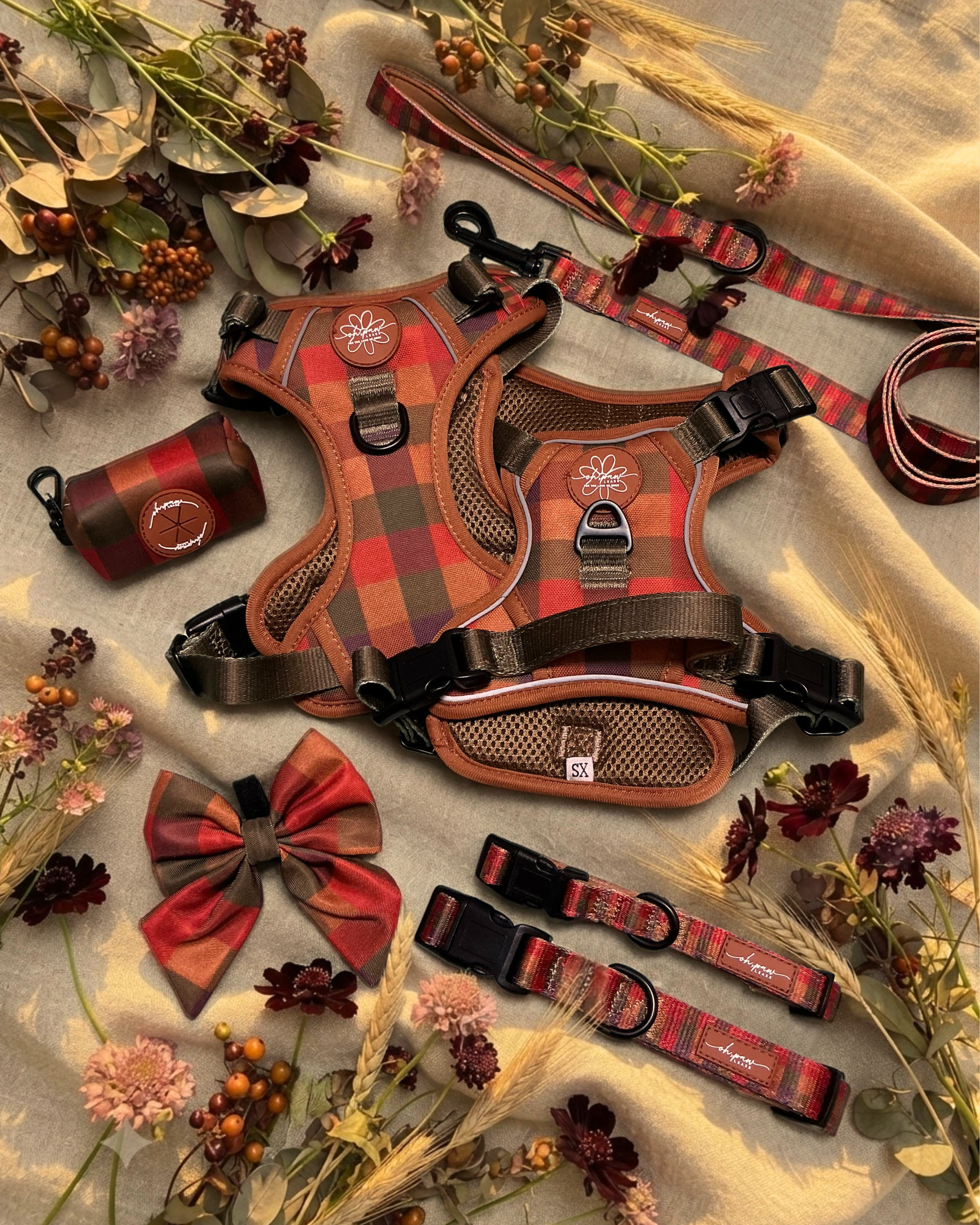 Core Memory 3 Click Harness - Burnham Weave