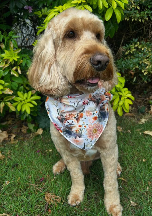 Born to Be Wild Boho Print Bandana (Limited Edition)