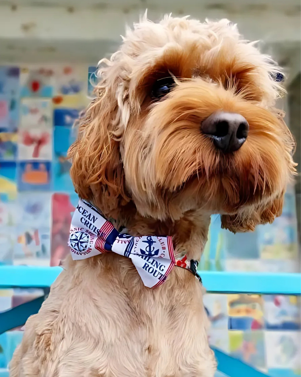 Sailor JOY Ocean Cruise Bow Tie