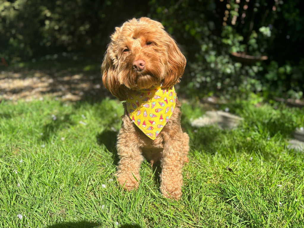 Ice Cream Print Dog Bandana