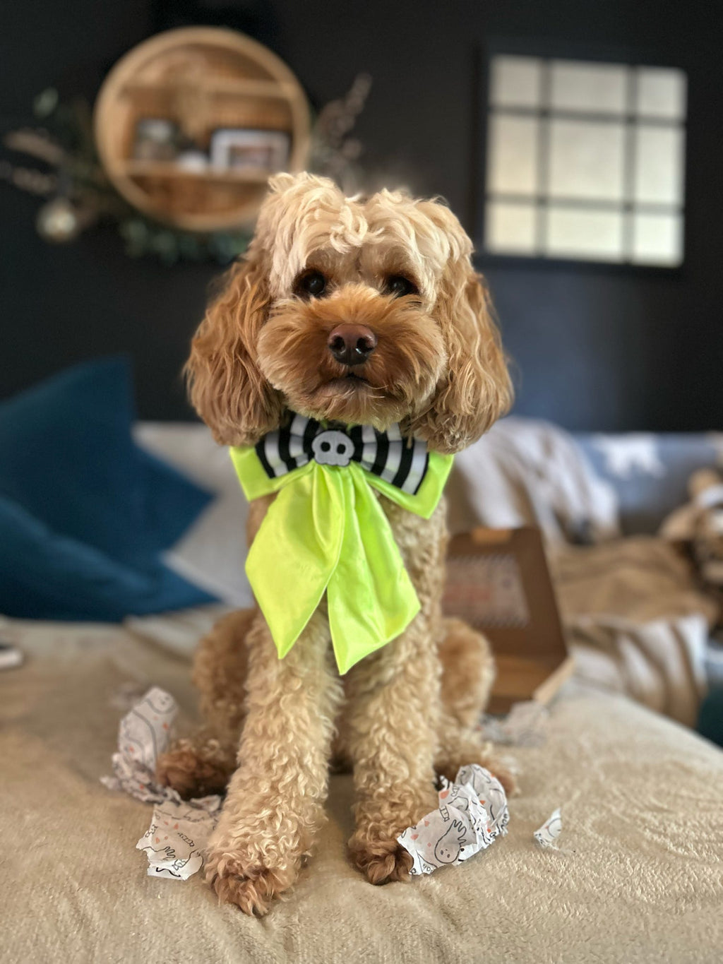 Neon Nightmare Sailor Bow
