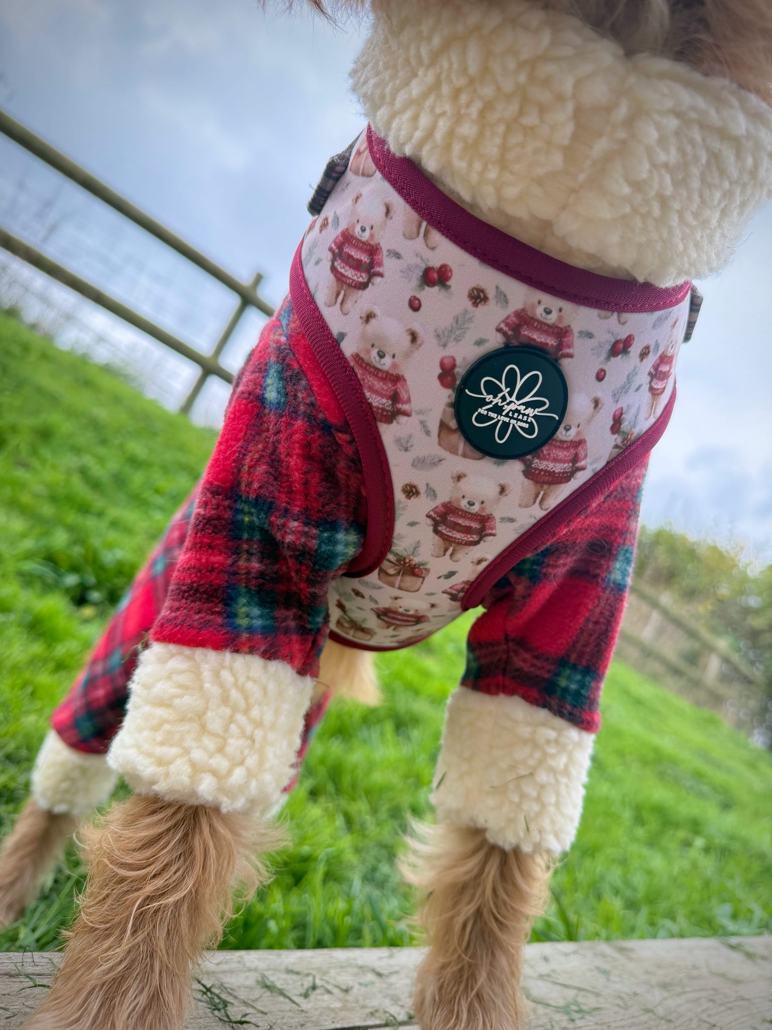 Jingle Bears - Adjustable Harness