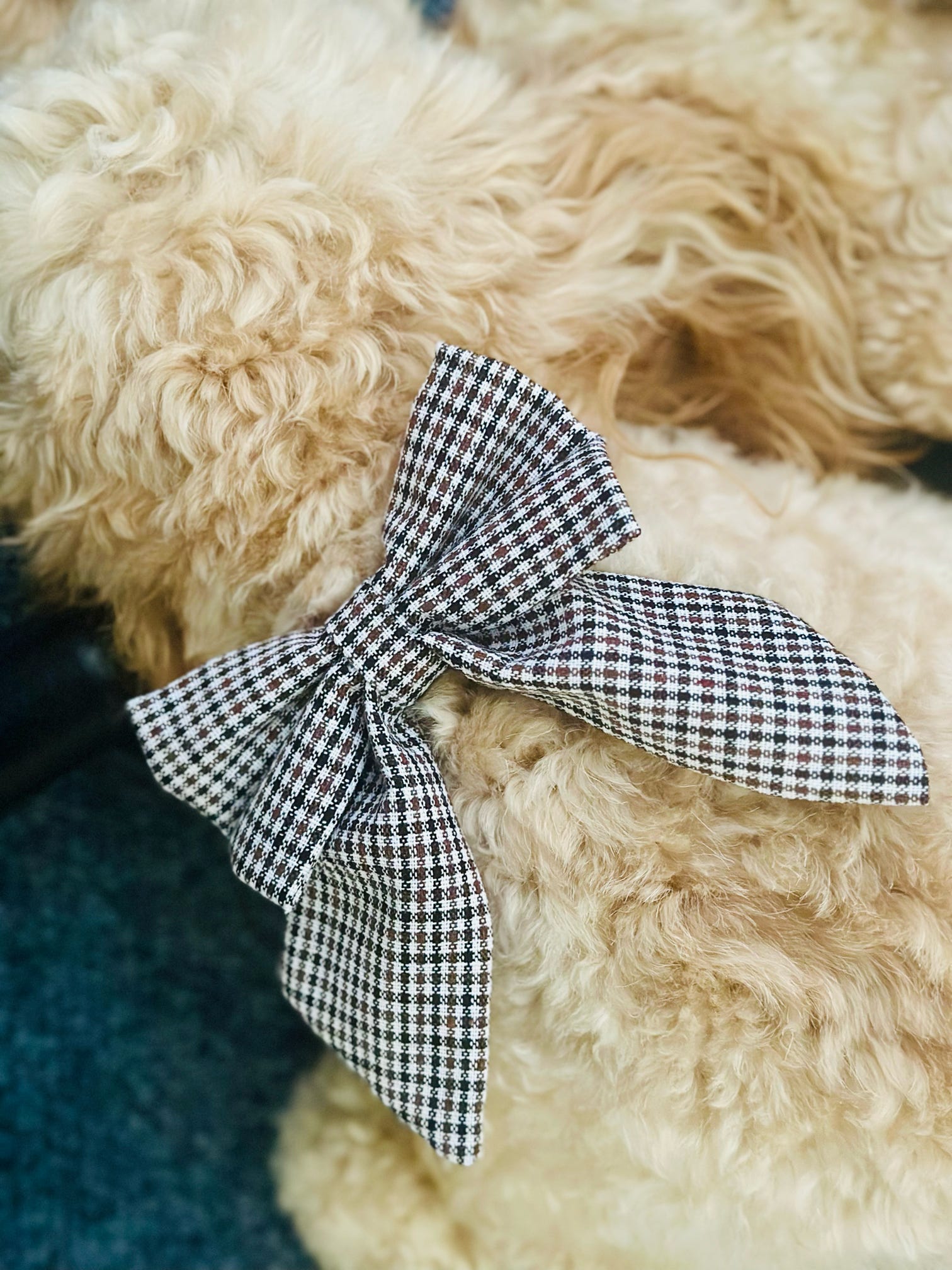 Heritage Hound Sailor Bow - Brown Cream