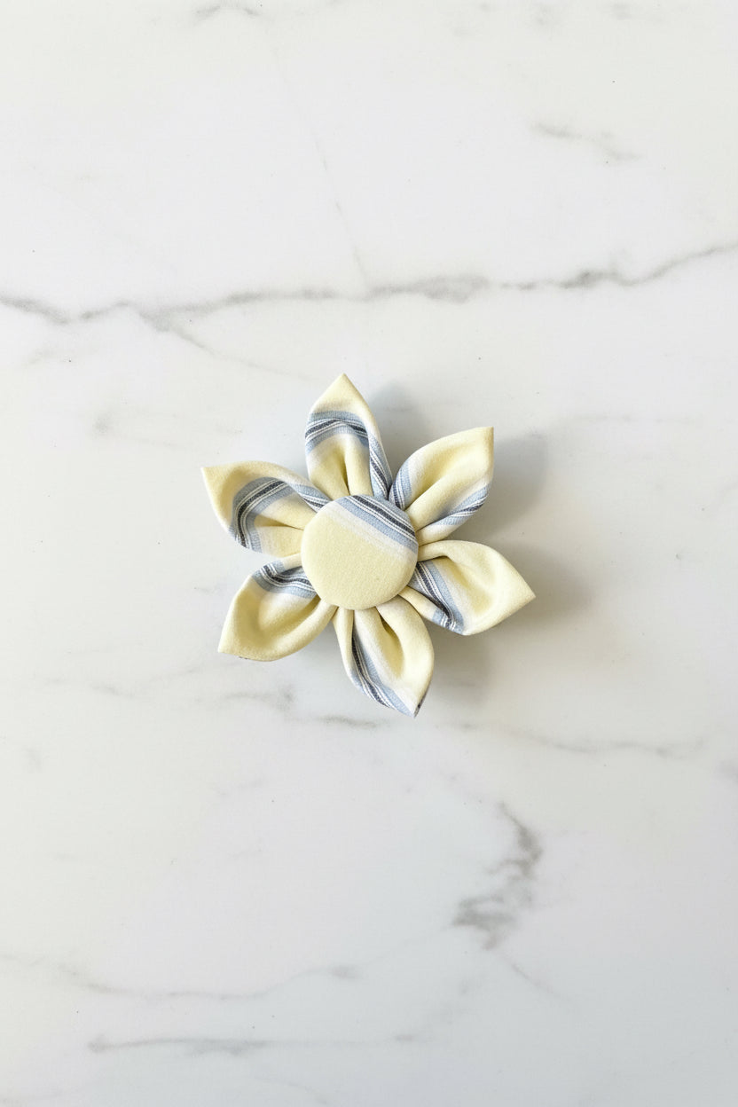 Sunday Shirt Collar Flower