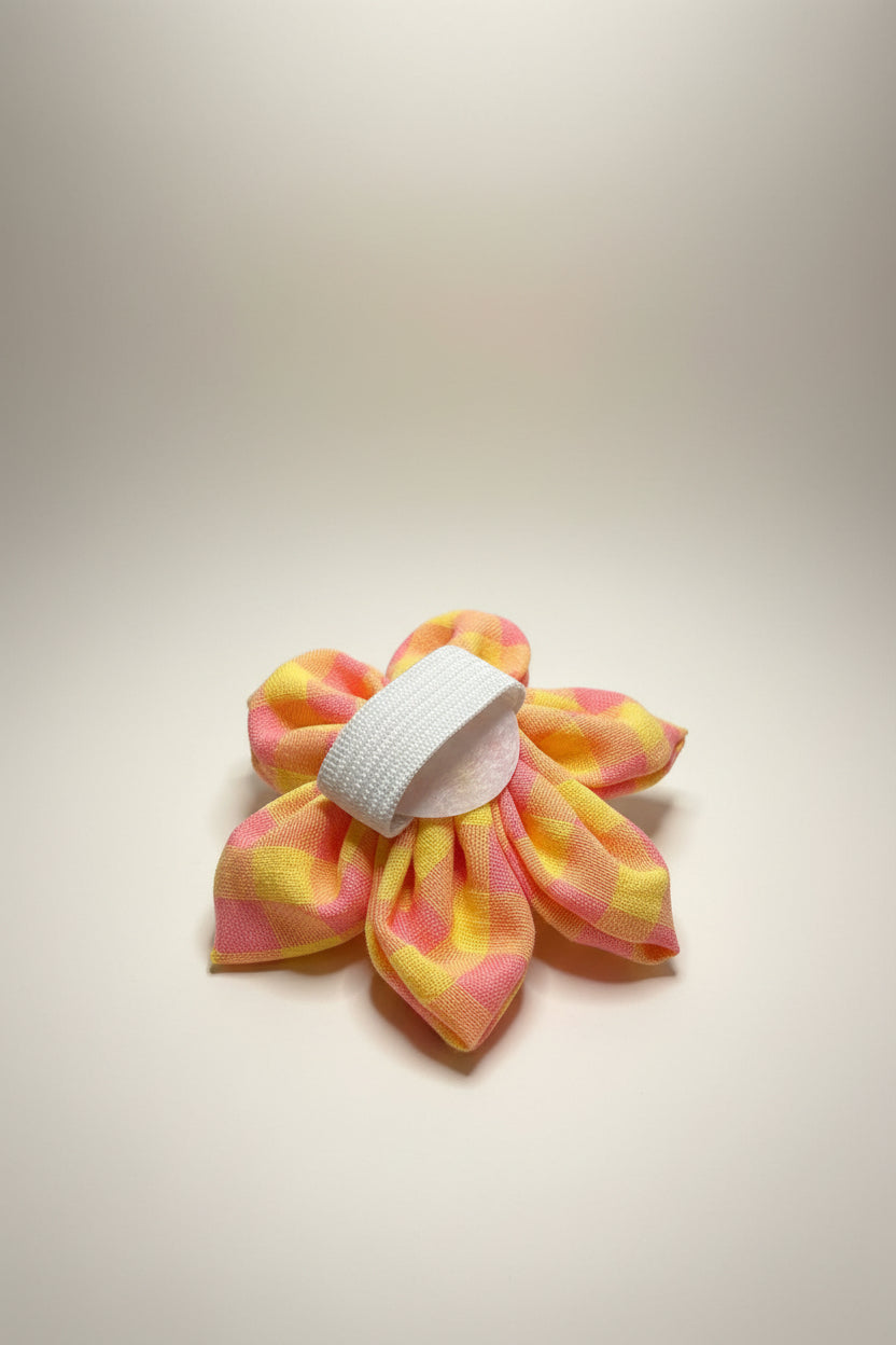 Heritage Hound - Peach Gingham Collar Flower