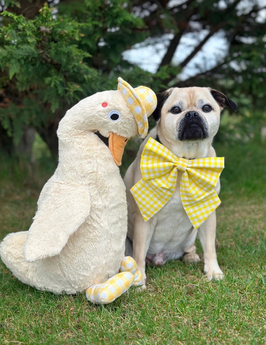 Picnic Pals - Traditional Gingham Sailor Bow Yellow