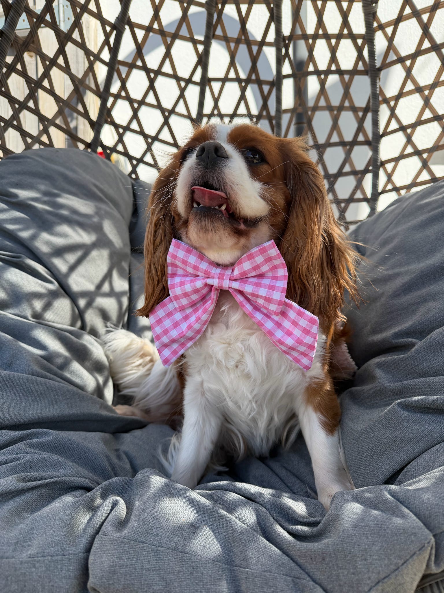 Picnic Pals - Traditional Gingham Sailor Bow Pink