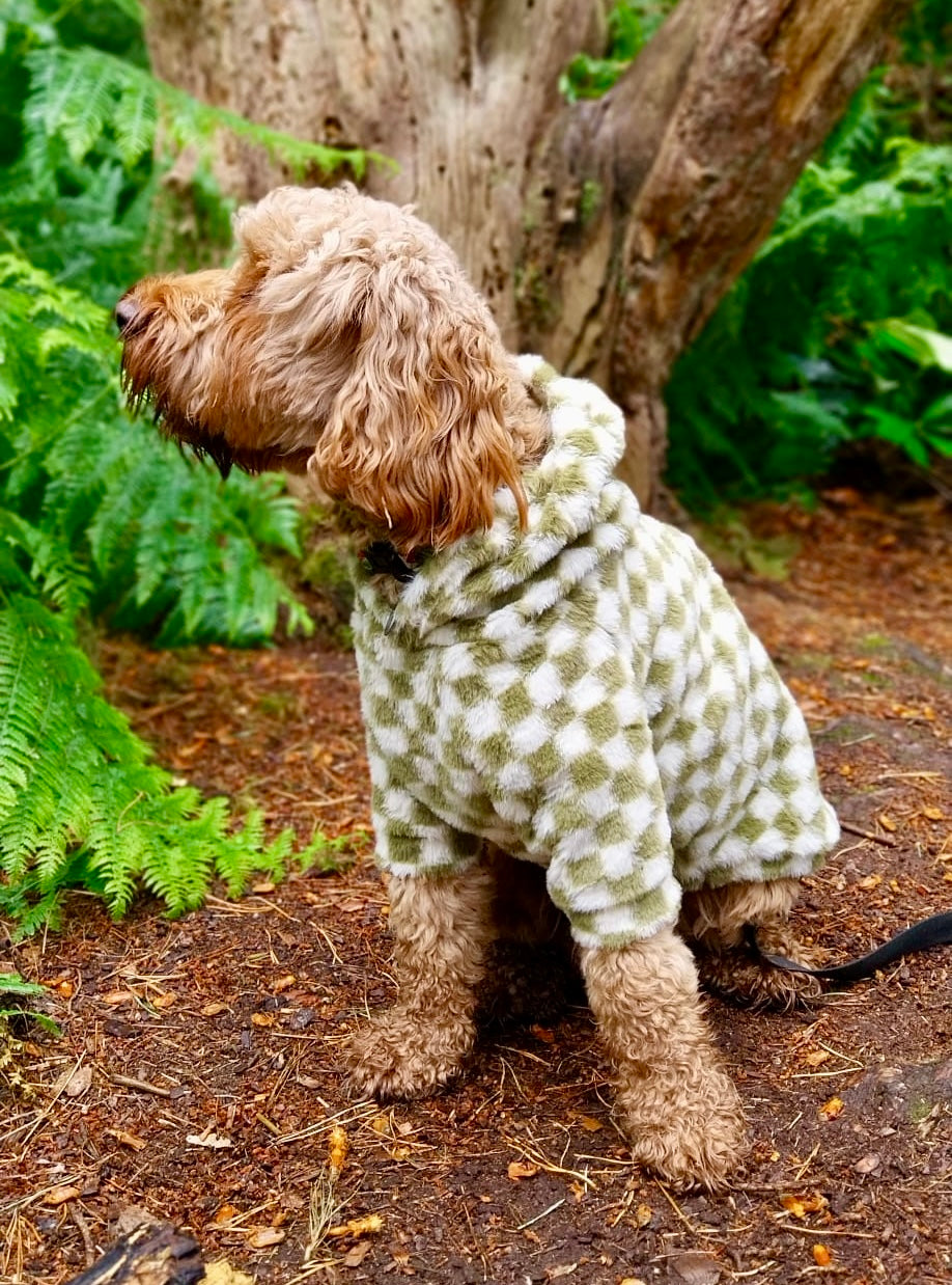 Cosy, Cute & Checkered Hoodie