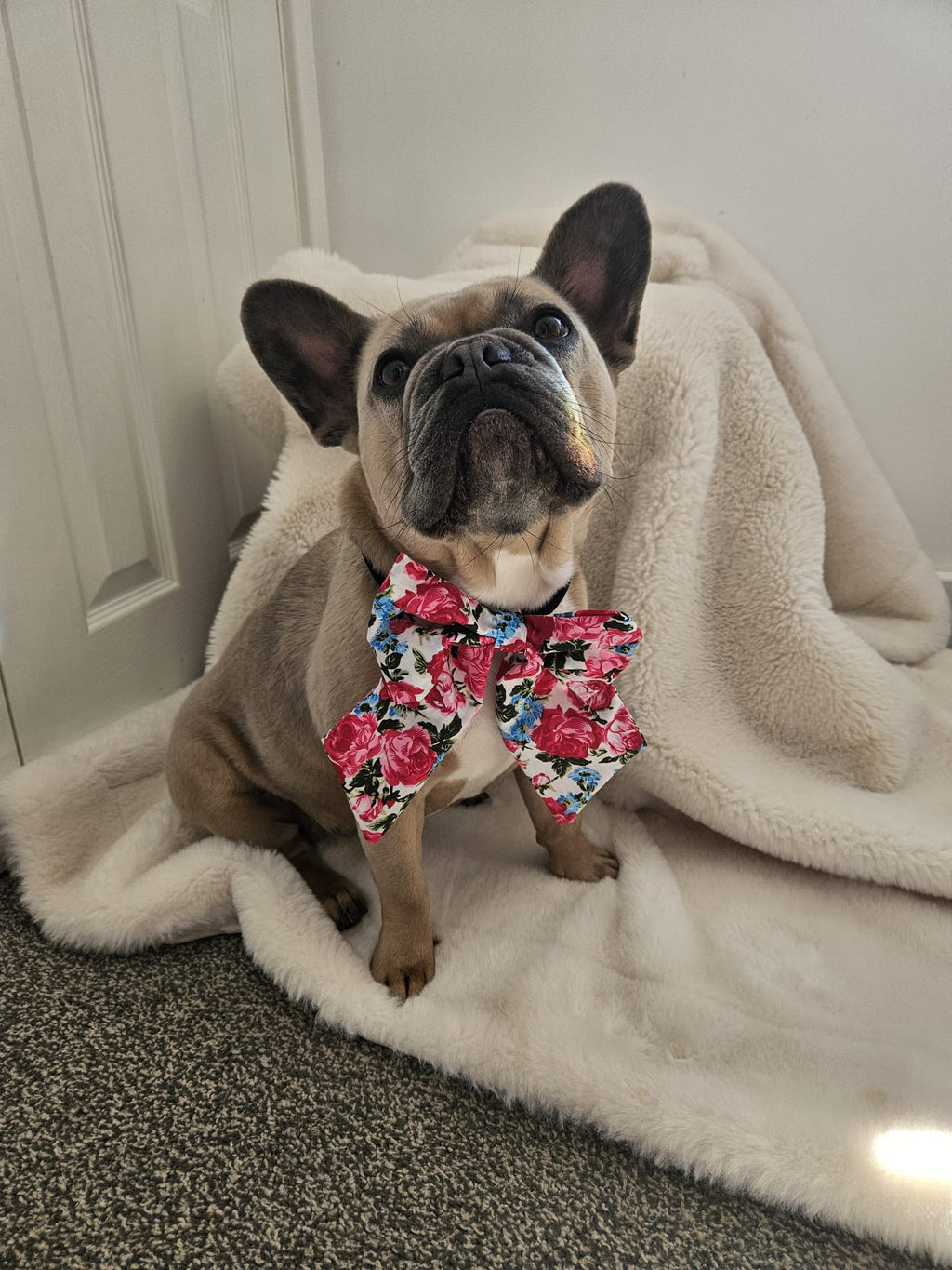 Fur-tastic Florals Pink Sailor Bow