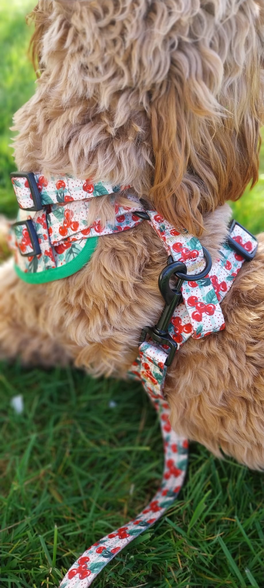 Cherry Picked Collar