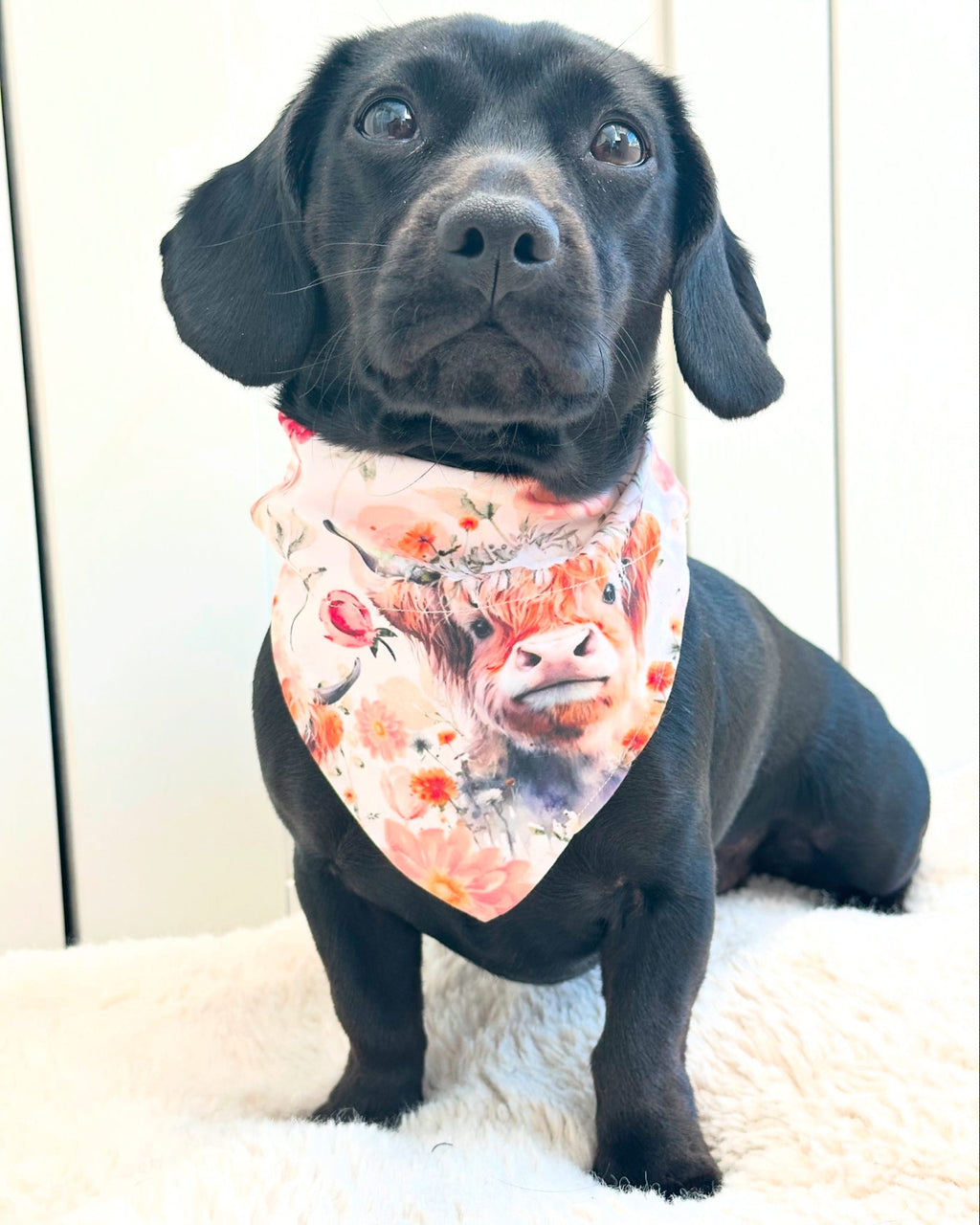 Highland Bloom Bandana