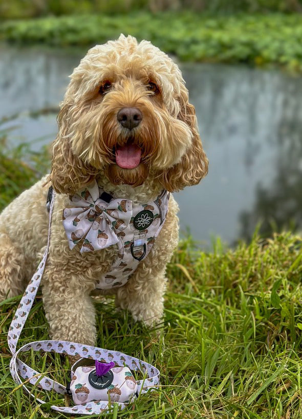 Nutty, by Nature! - Ready To Roam Harness