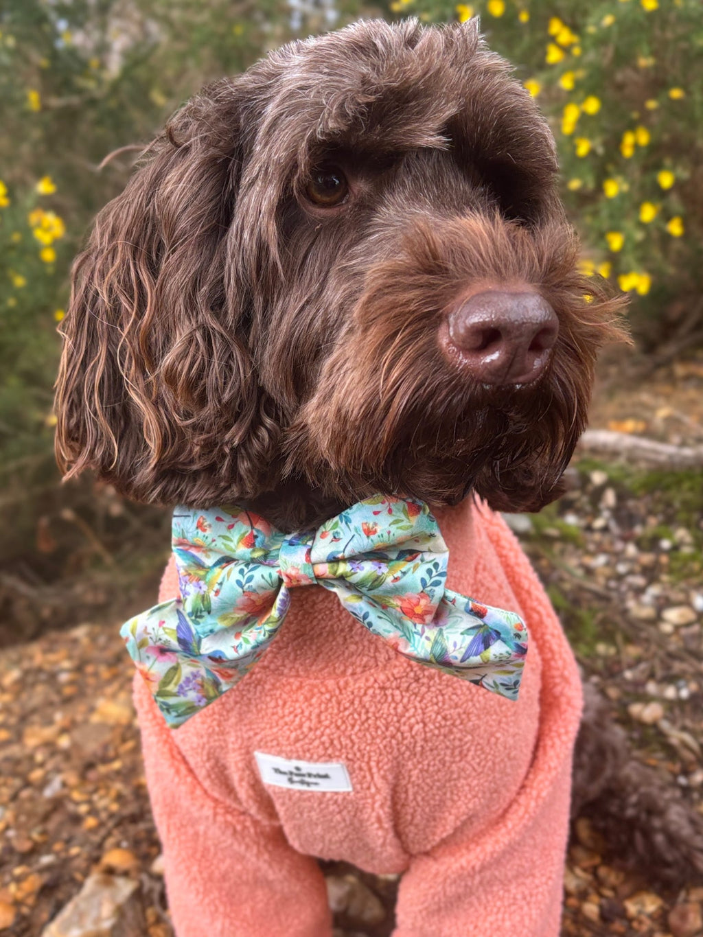 Hummingbird Meadow Sailor Bow