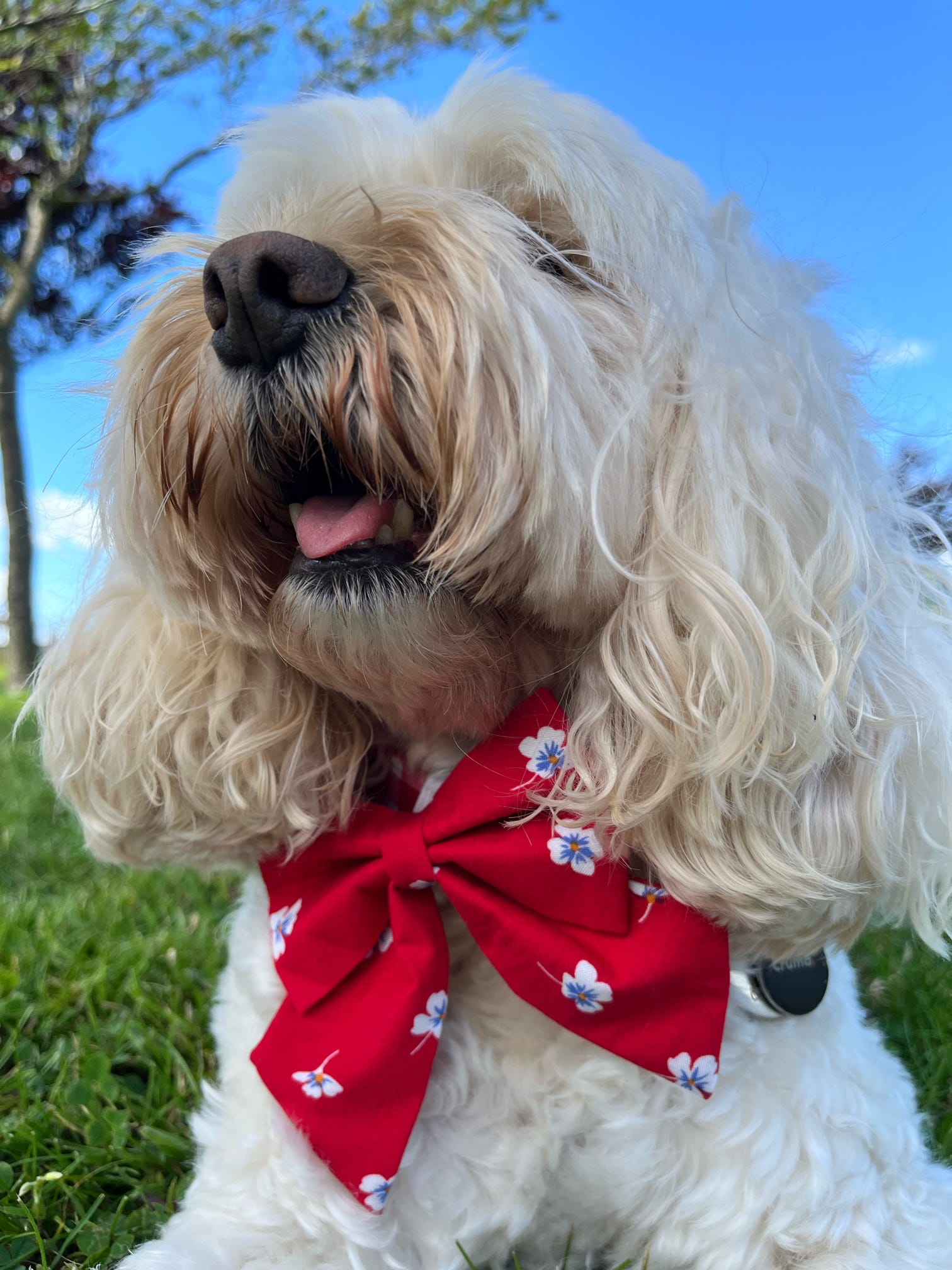 Seaside Bloom Sailor Bow