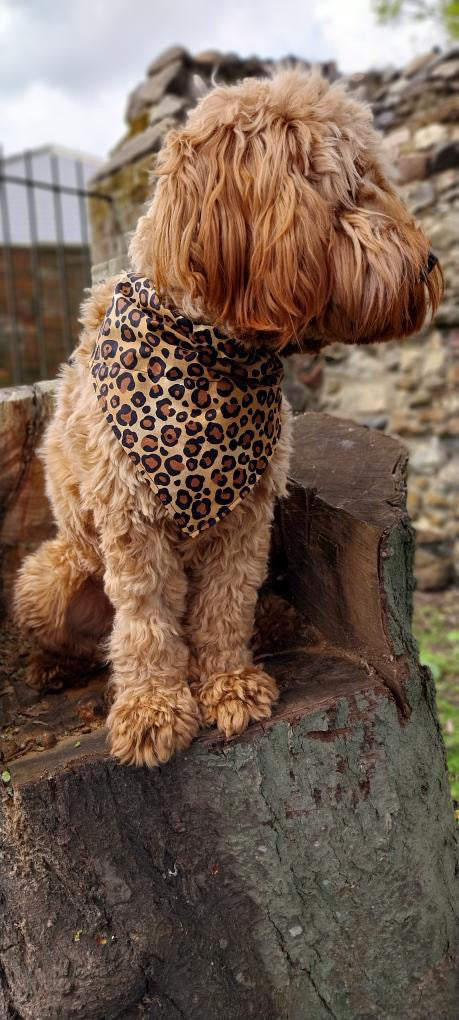 Leopawrd Bandana