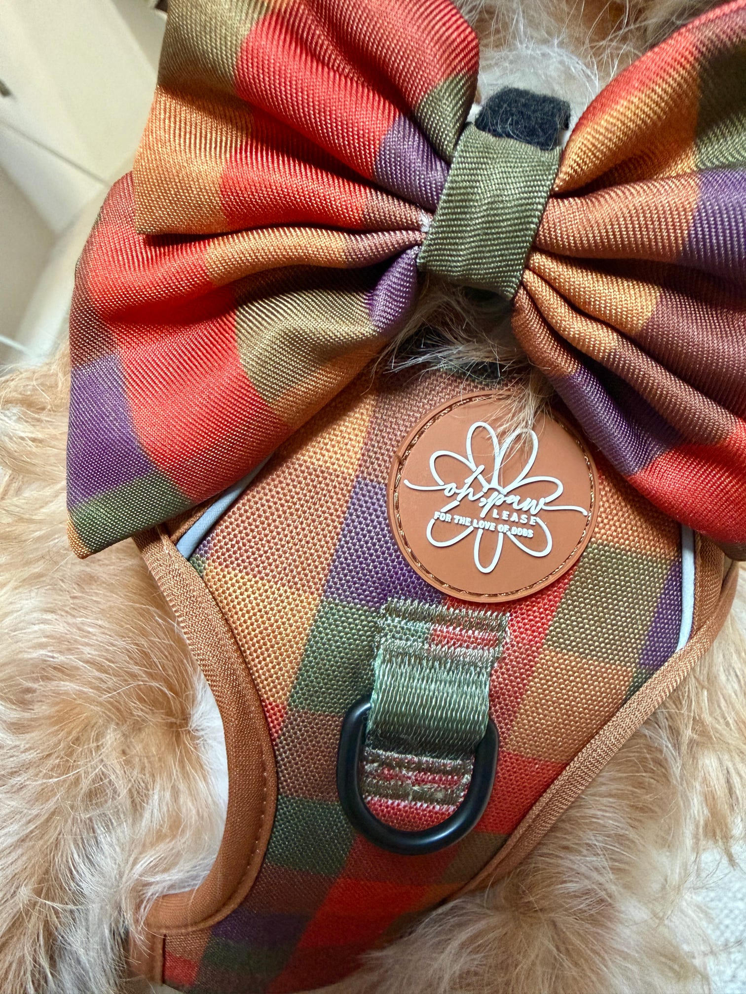Burham Weave Rambler Bow