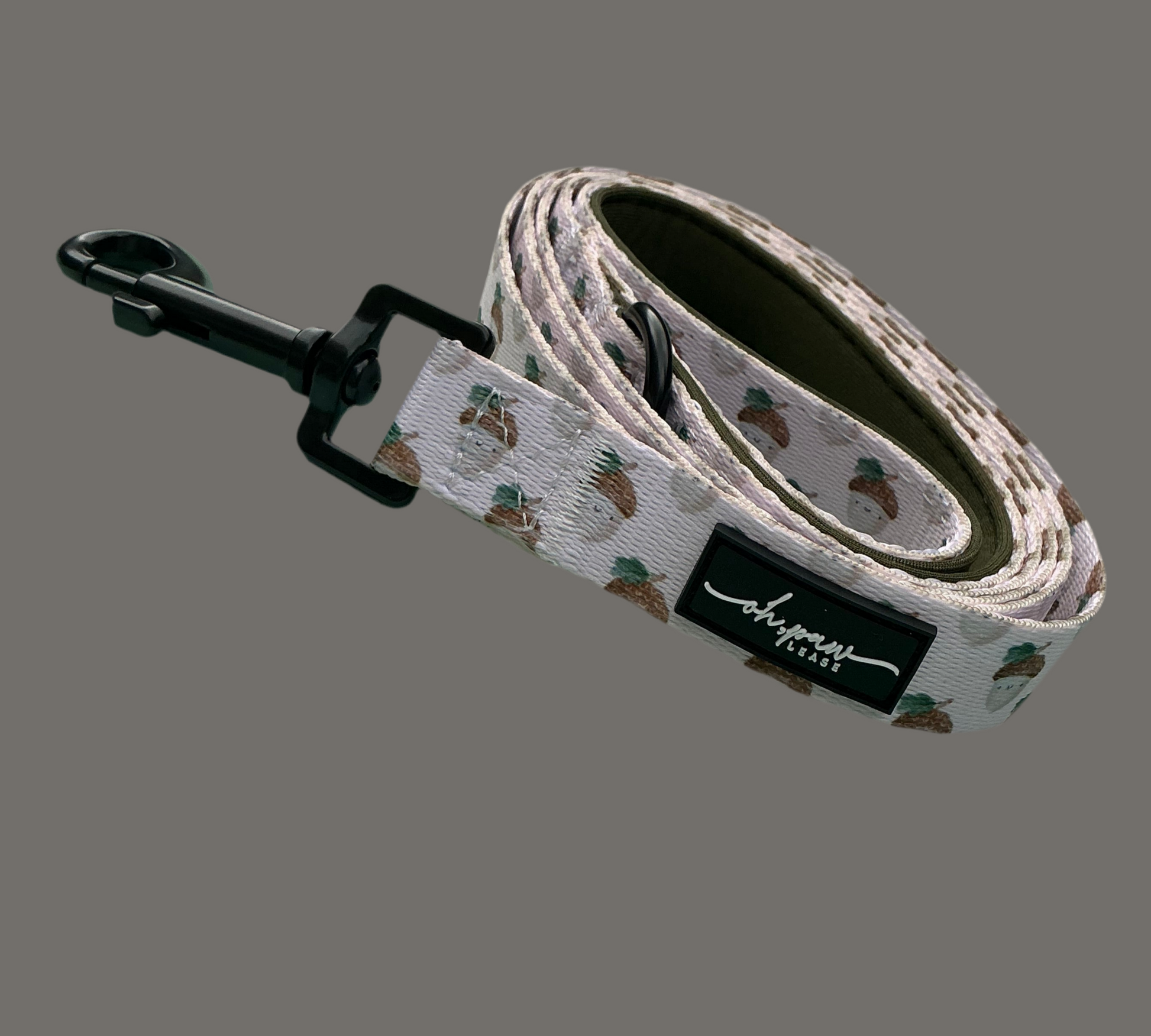 Nutty, by Nature! Acorn Lead