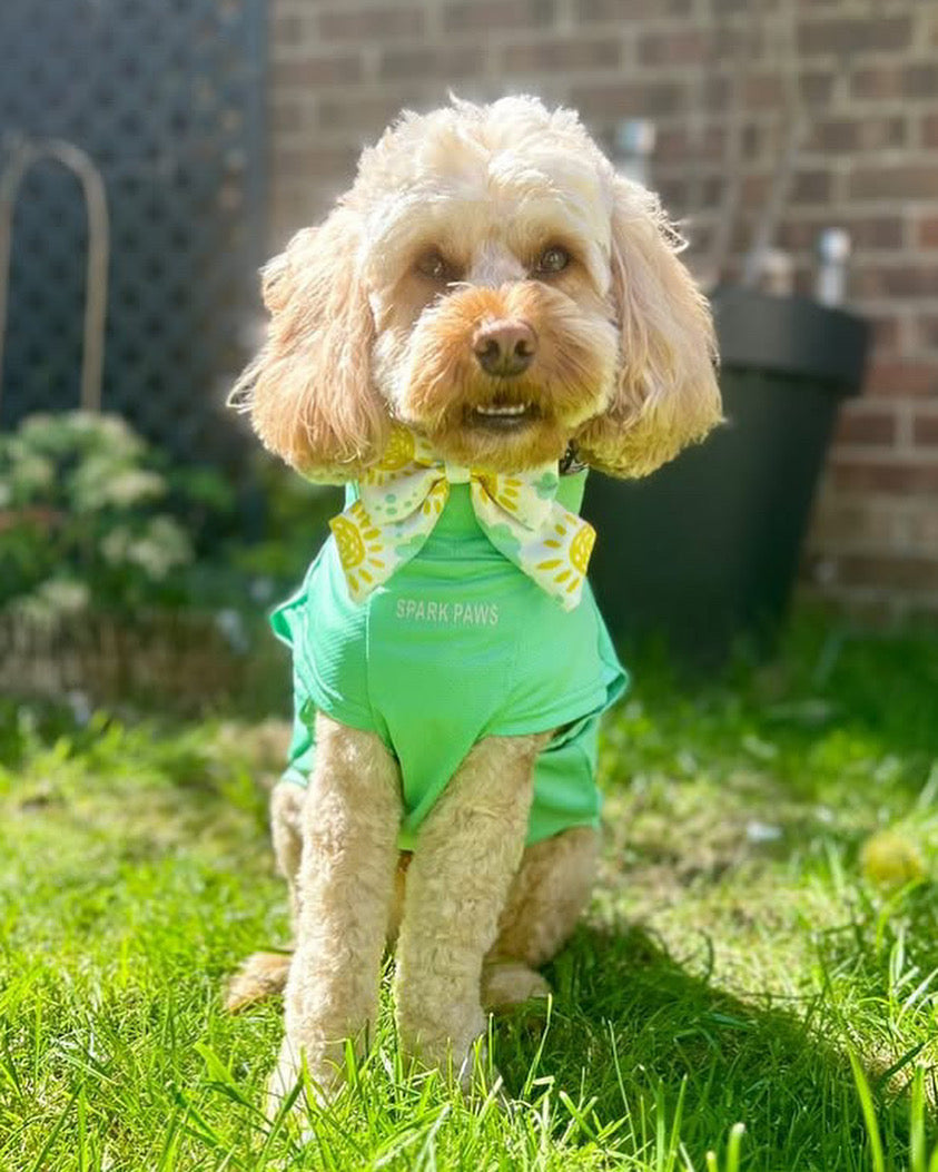 Sunshine & Sniffs Sunny Sailor Bow