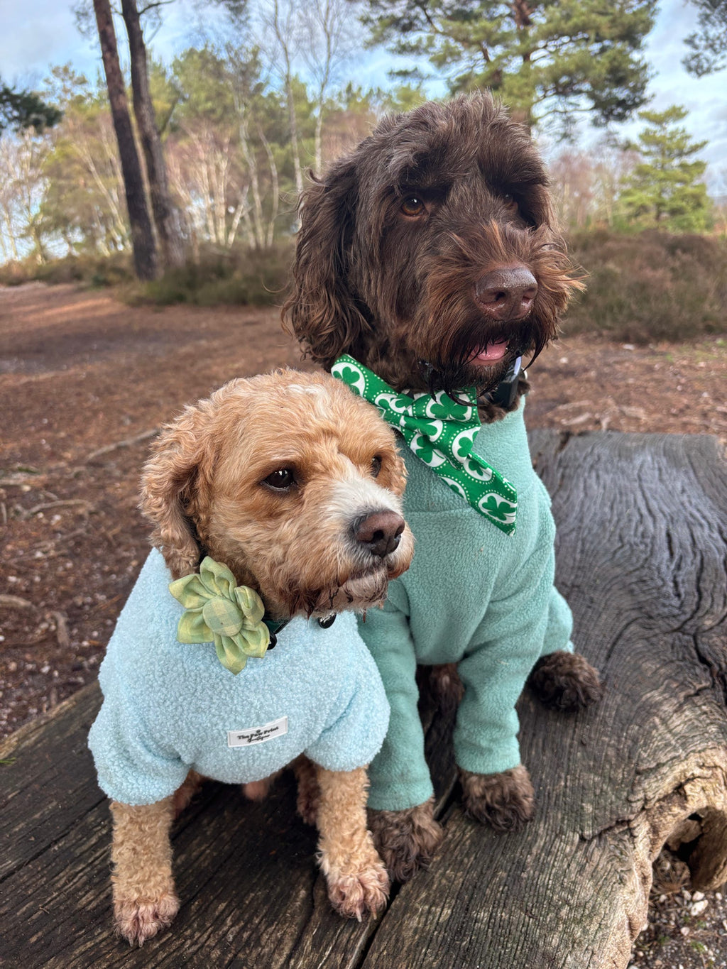 Picnic Pals - Peach Gingham Collar Flower