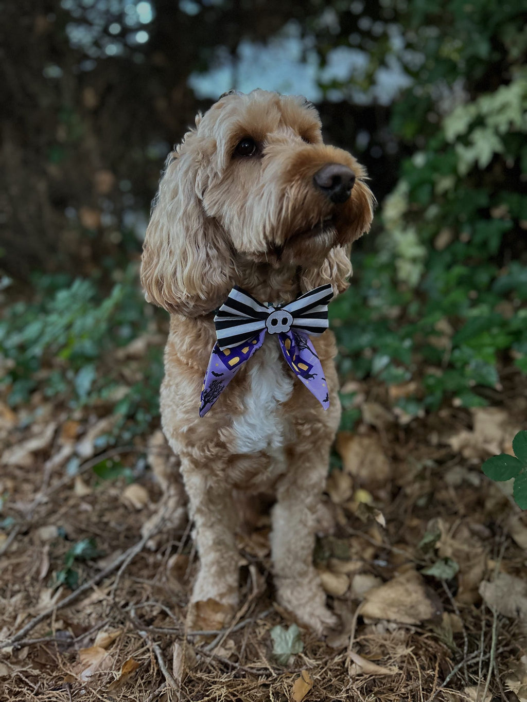 Purple Haunted House Fang Tail Sailor Bow