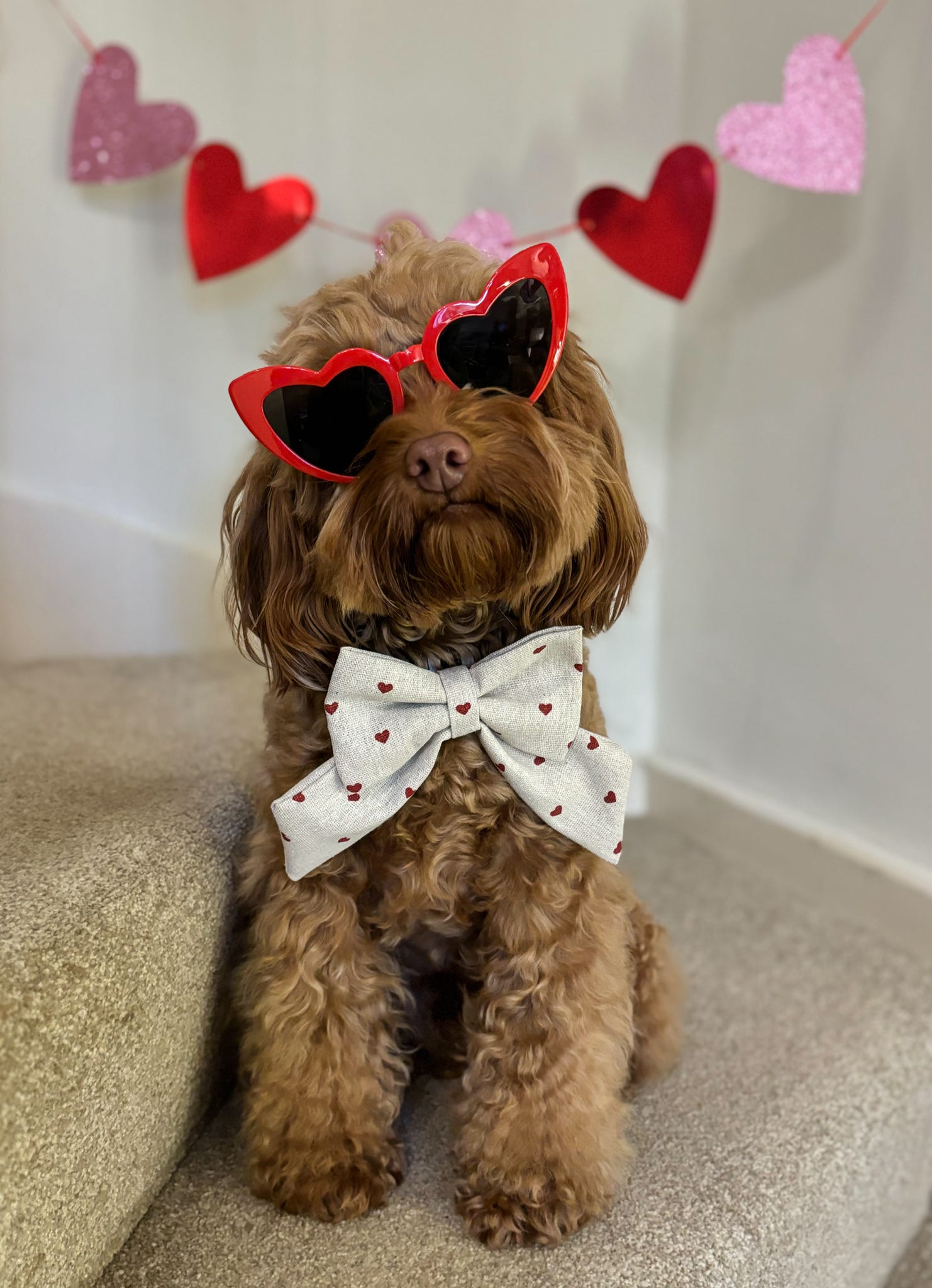 Love Heart Sailor Bow