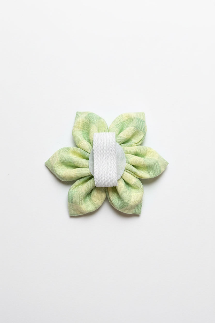 Heritage Hound - Sage Gingham Collar Flower
