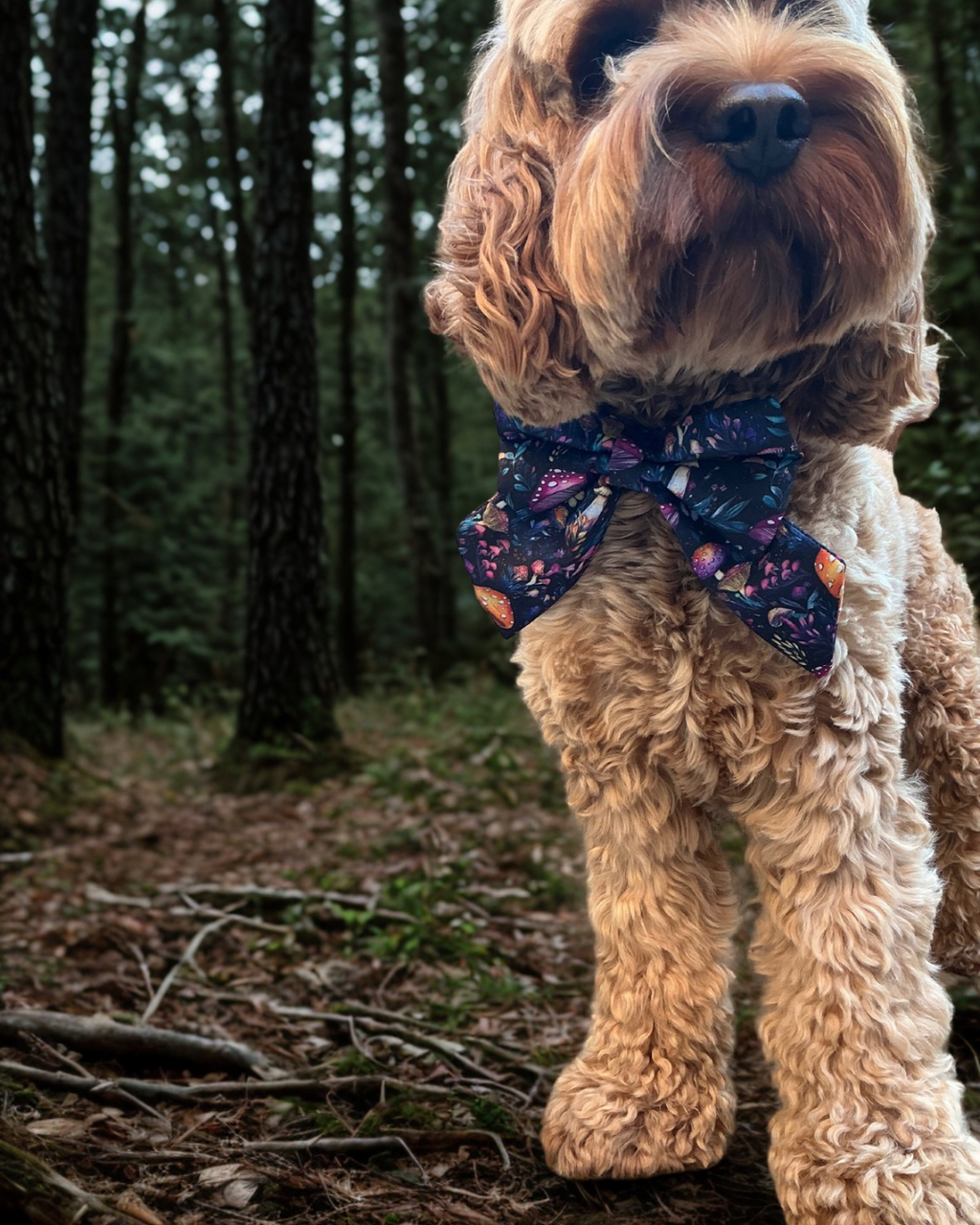 Midnight Mushroom Sailor Bow