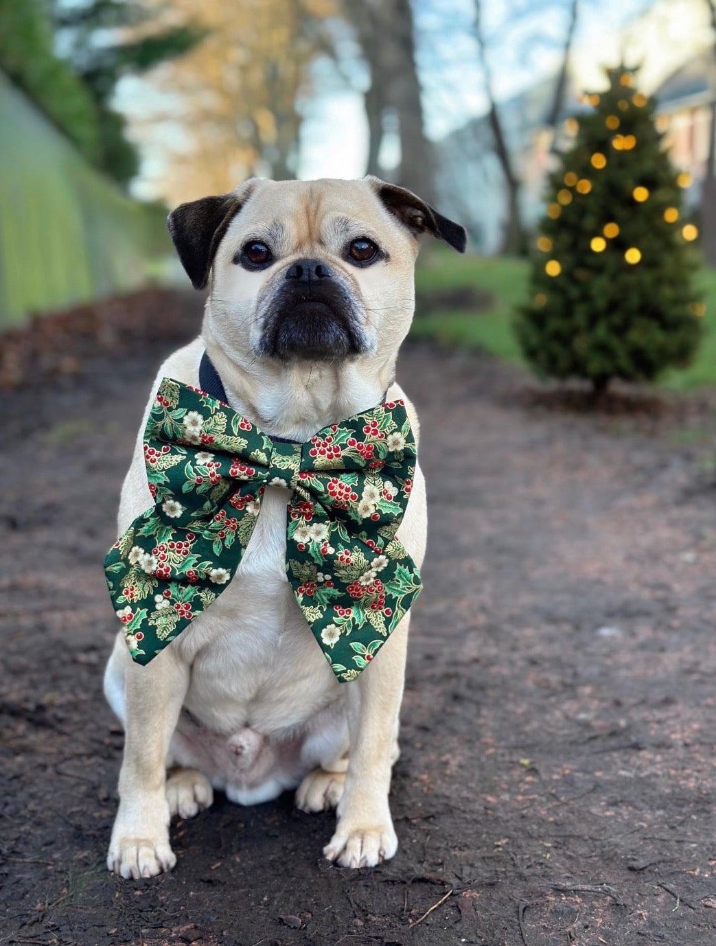Tinsel & Tartan - Oh, Holly Days Sailor Bow