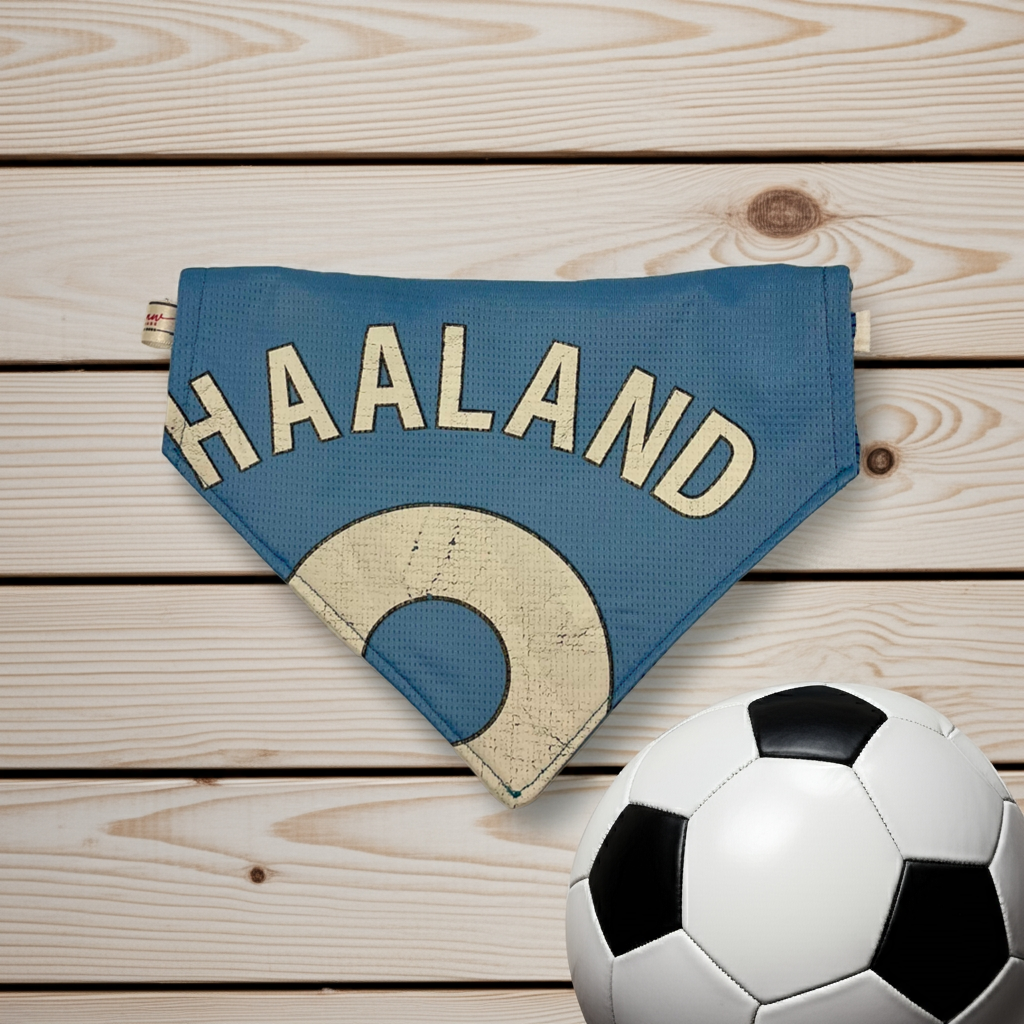 Manchester City SUPAW Fan Bandana