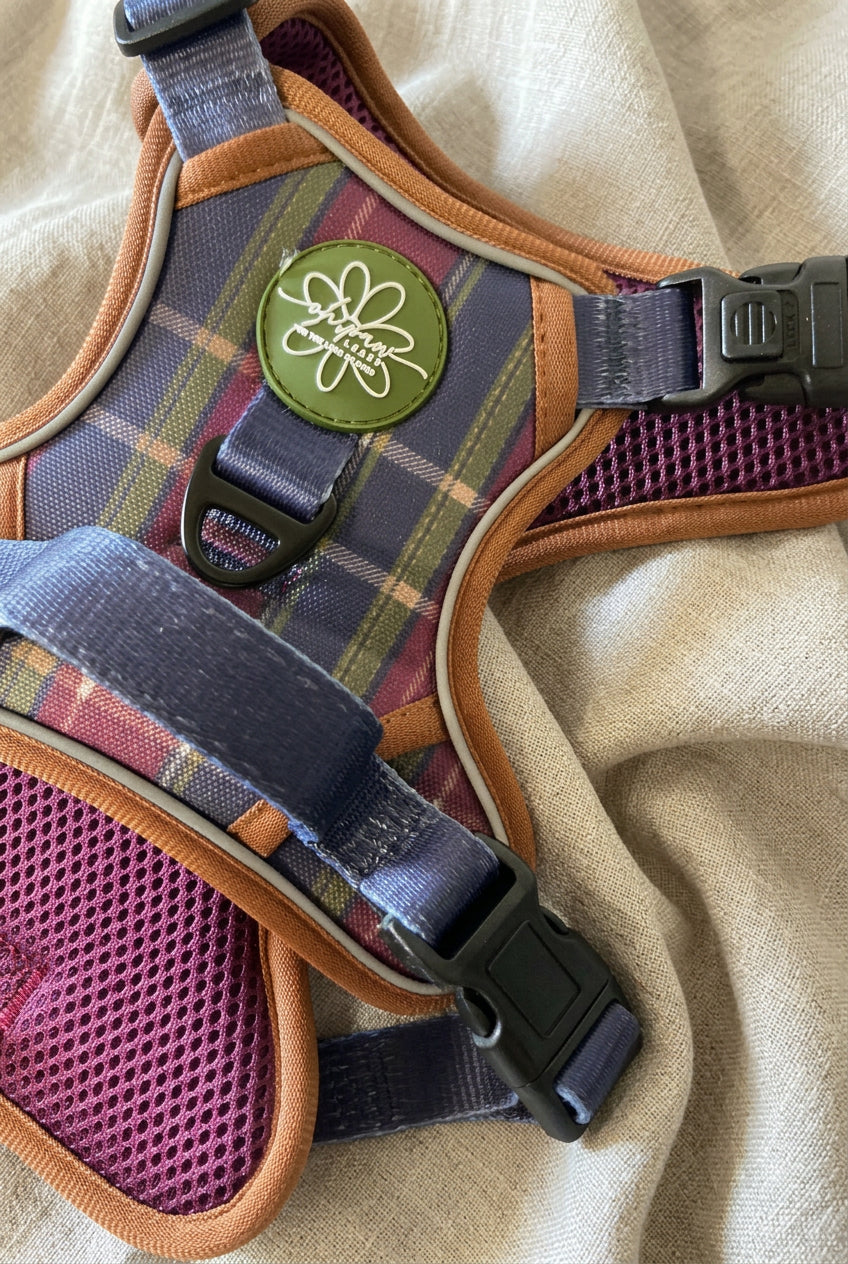 Core Memory™ 3-Click Harness  - Brancaster Dusk Complete Adventure Bundle