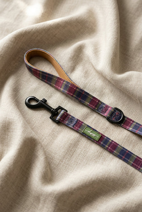 Brancaster Dusk Lead