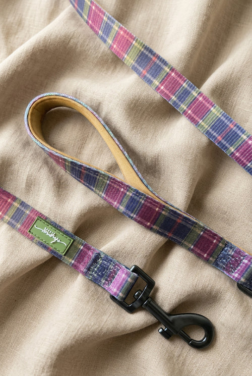 Brancaster Dusk Lead